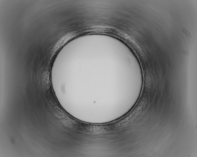 X0000111781362200908201100