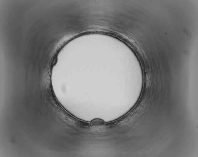 X0000111781363200908201100