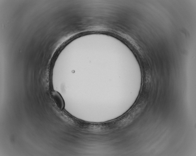X0000111781364200908201100