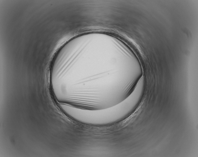 X0000111781365200908201100