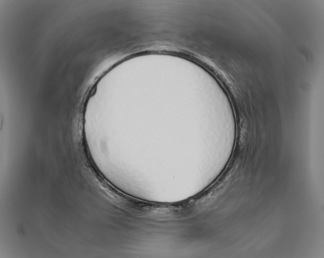X0000111781367200908201100