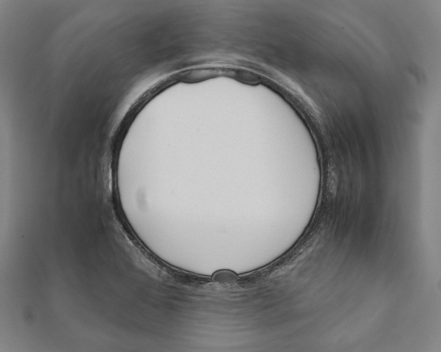 X0000111781368200908201100