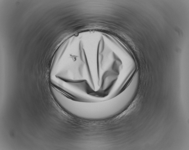 X0000111781369200908201100