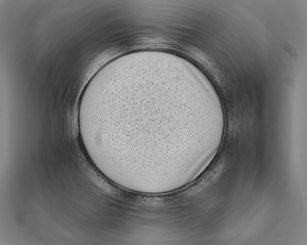 X0000111781370200908201100