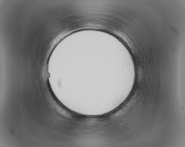 X0000111781371200908201100