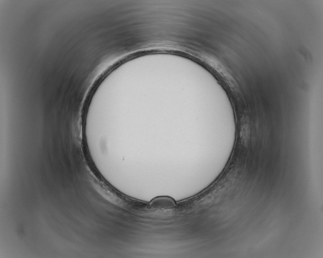 X0000111781372200908201100
