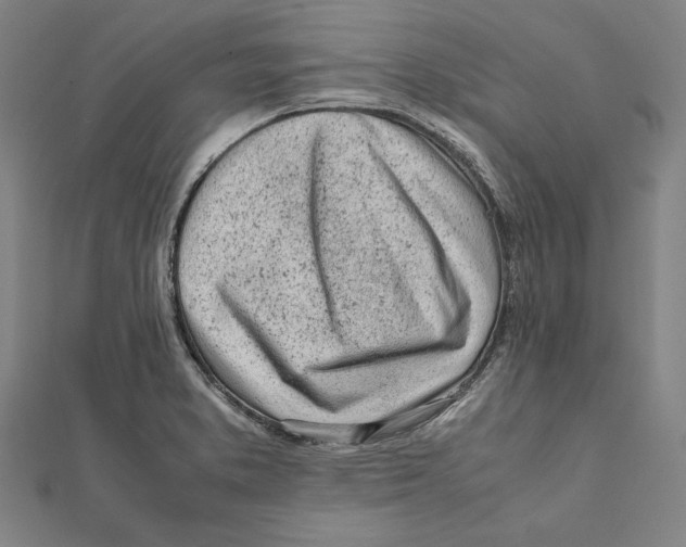 X0000111781373200908201100