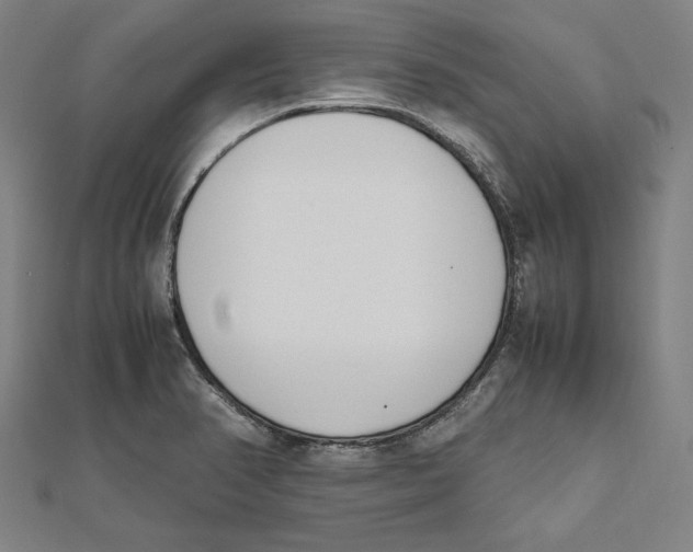 X0000111781374200908201100
