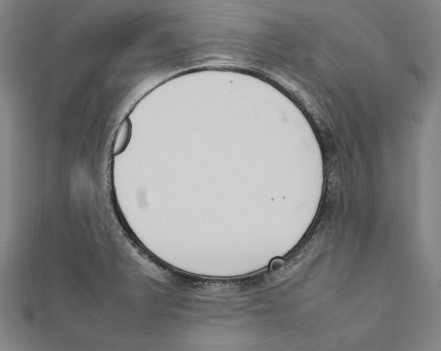 X0000111781375200908201100