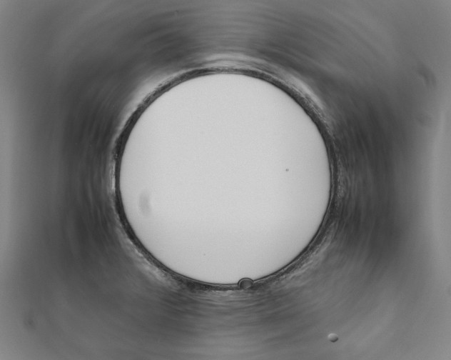 X0000111781376200908201100