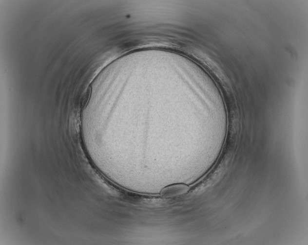 X0000111781377200908201100