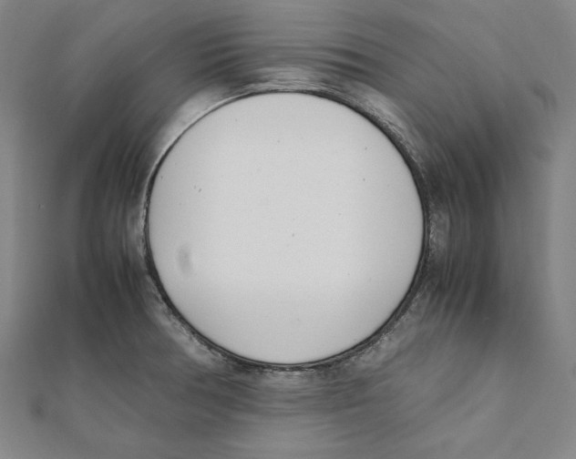 X0000111781378200908201100