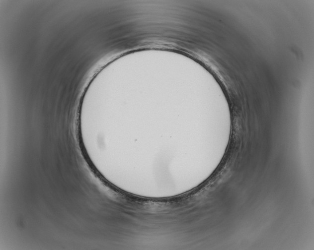 X0000111781379200908201100