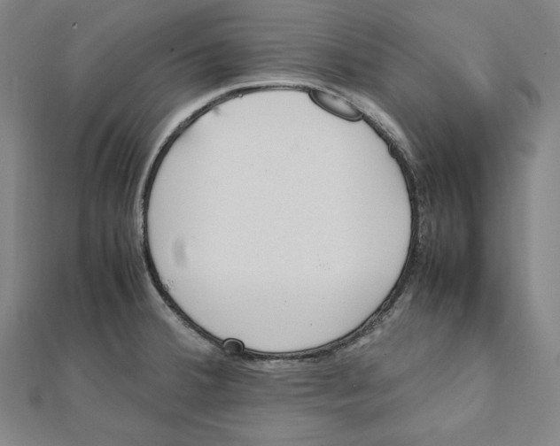 X0000111781380200908201100