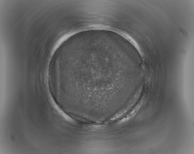X0000111781381200908201100