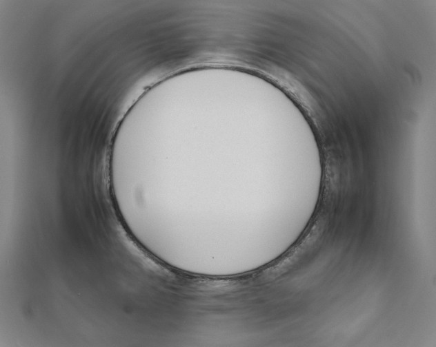 X0000111781382200908201100