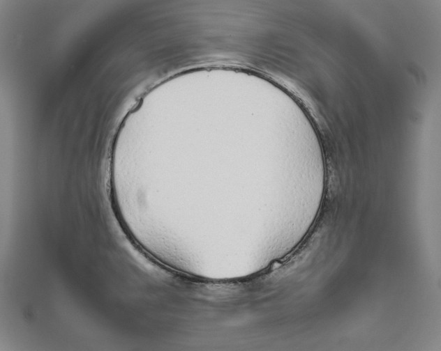 X0000111781383200908201100