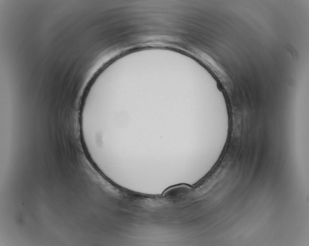 X0000111781384200908201100