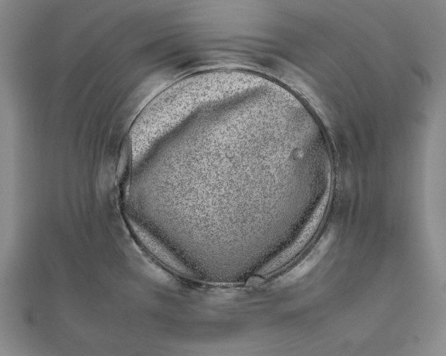 X0000111781385200908201100