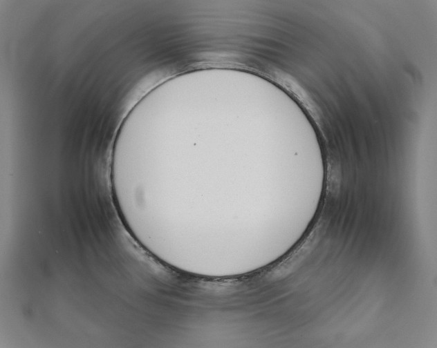 X0000111781386200908201100