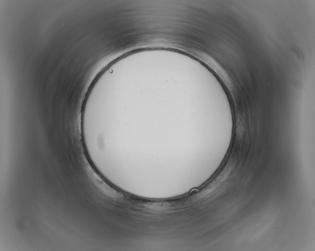 X0000111781388200908201100