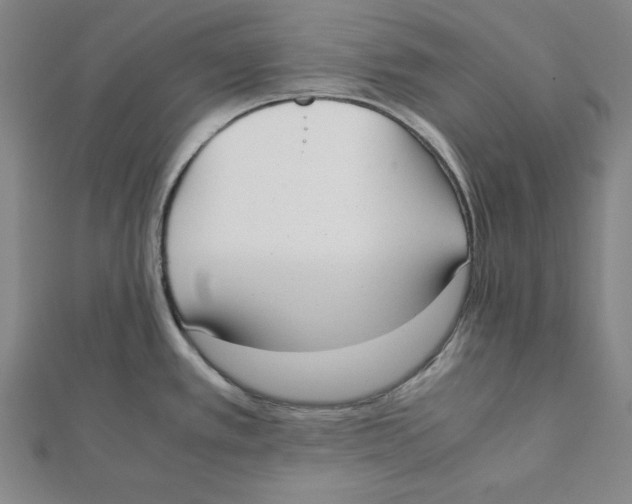 X0000111781389200908201100