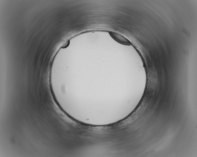 X0000111781390200908201100