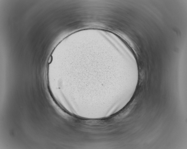 X0000111781391200908201100