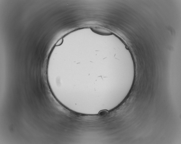 X0000111781392200908201100