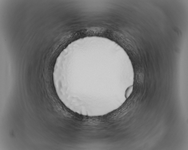 X0000111781393200908201059