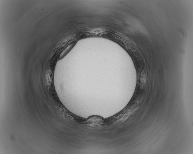 X0000111781394200908201059