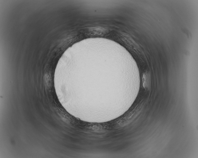 X0000111781395200908201059
