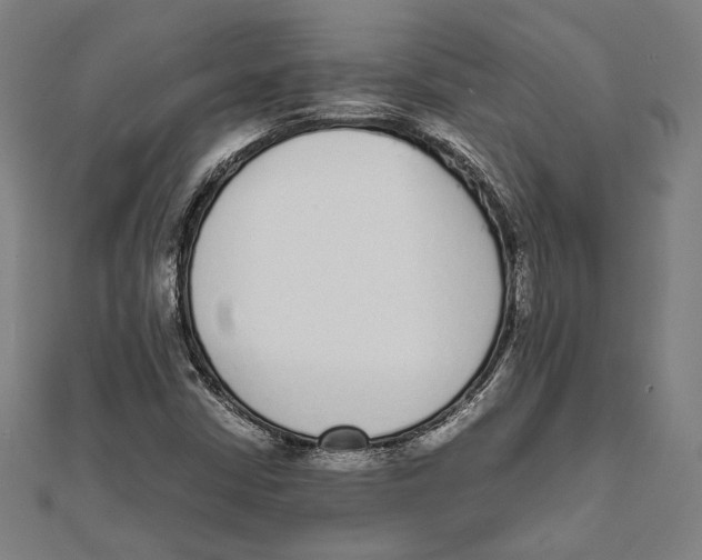 X0000111781402200908201100