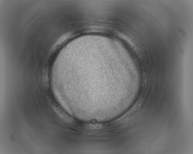 X0000111781403200908201100