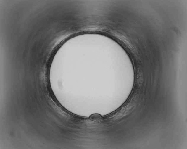 X0000111781404200908201100