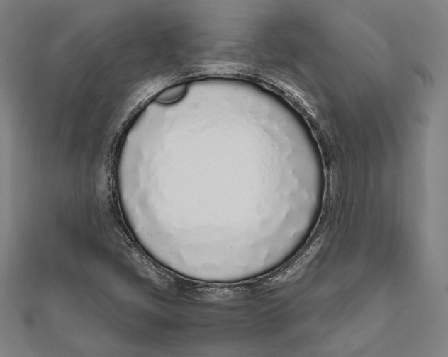 X0000111781405200908201100