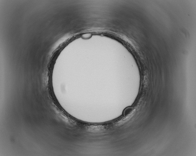 X0000111781406200908201100