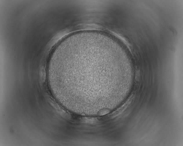 X0000111781407200908201100