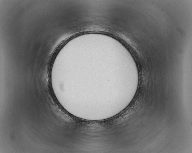 X0000111781408200908201100