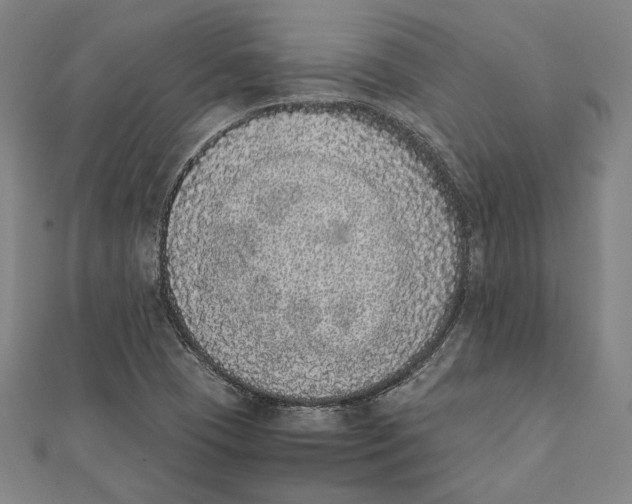 X0000111781409200908201100