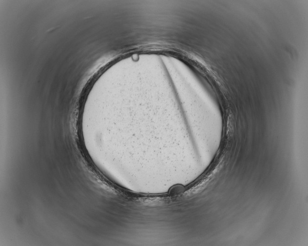 X0000111781410200908201100