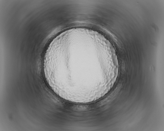 X0000111781411200908201100