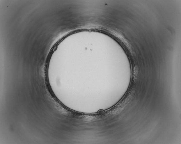 X0000111781412200908201100