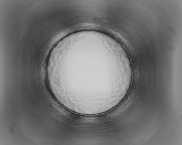X0000111781413200908201100