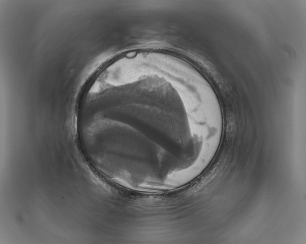X0000111781414200908201100