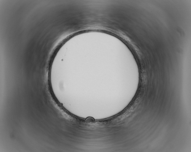 X0000111781416200908201100