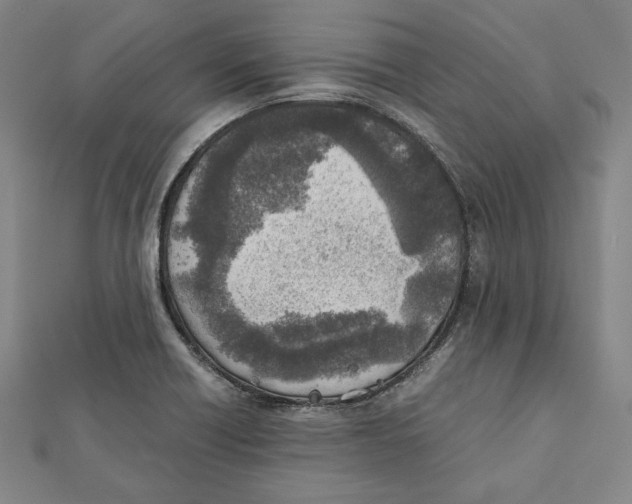 X0000111781418200908201100