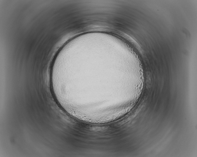 X0000111781419200908201100