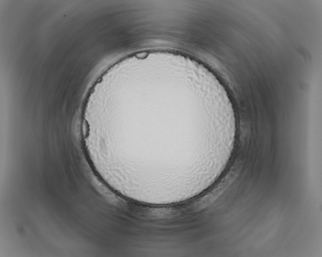 X0000111781421200908201100
