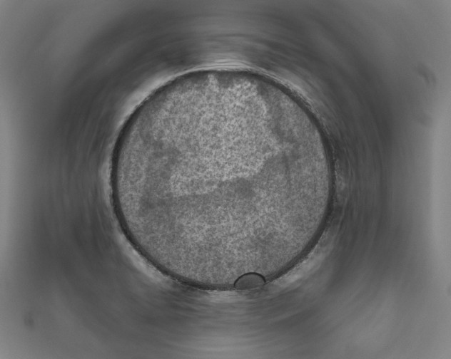 X0000111781422200908201100